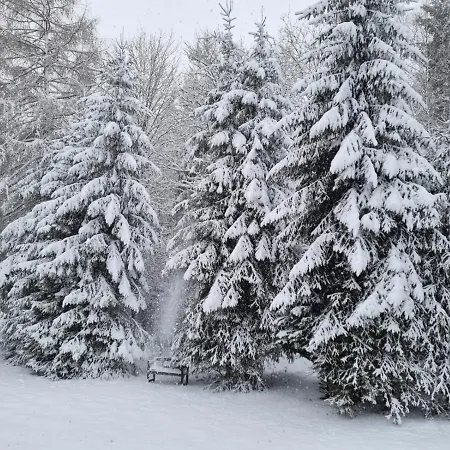 An Der Skipiste 800 Meter Bis Moeppis Huette Winterberg