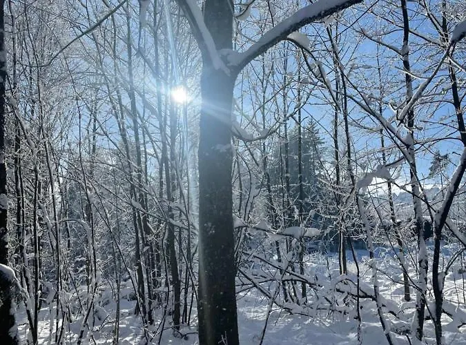 An Der Skipiste 800 Meter Bis Moeppis Huette