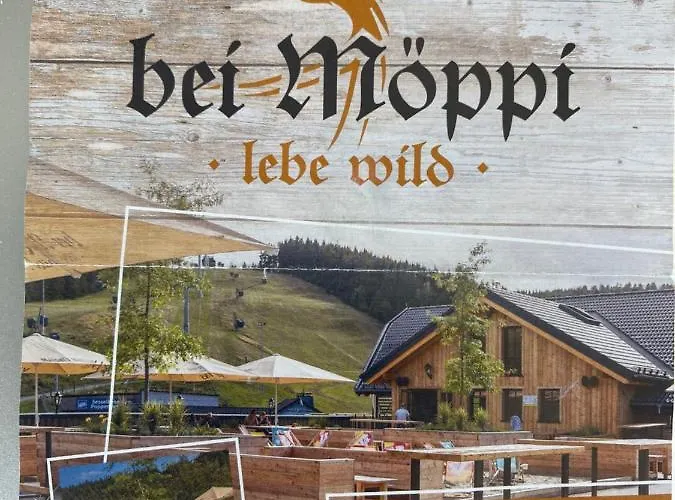 An Der Skipiste 800 Meter Bis Moeppis Huette Appartement