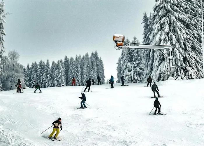 Apartment An Der Skipiste 800 Meter Bis Moeppis Huette