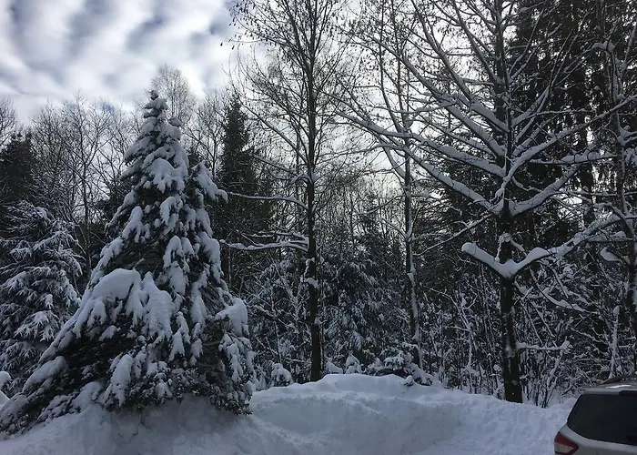 Apartment An Der Skipiste 800 Meter Bis Moeppis Huette