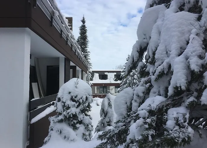 Apartment An Der Skipiste 800 Meter Bis Moeppis Huette *