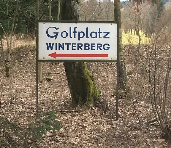 An Der Skipiste 800 Meter Bis Moeppis Huette Apartment *